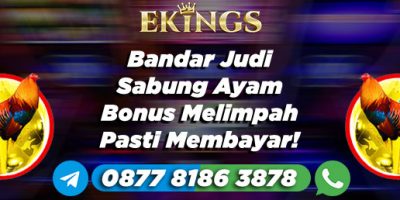 Bandar Judi Sabung Ayam Bonus Melimpah