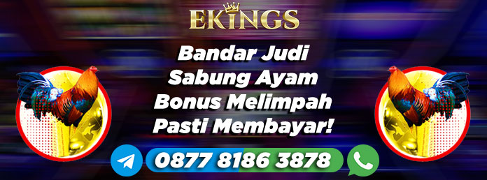 Bandar Judi Sabung Ayam Bonus Melimpah