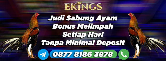 Judi Sabung Ayam Bonus Melimpah