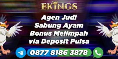 Agen Judi Sabung Ayam Bonus Melimpah - Ekings