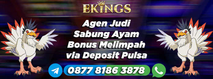 Agen Judi Sabung Ayam Bonus Melimpah - Ekings