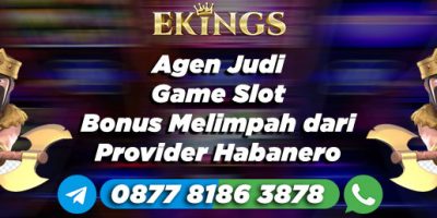 Agen Judi Game Slot Bonus Melimpah - Ekings