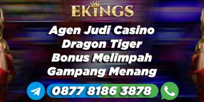 Agen Judi Casino Dragon Tiger Bonus Melimpah - Ekings