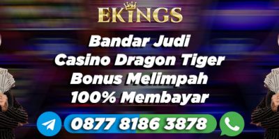 Bandar Judi Casino Dragon Tiger Bonus Melimpah - Ekings