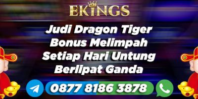 Judi Dragon Tiger Bonus Melimpah - Ekings