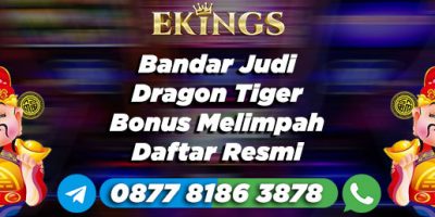 Bandar Judi Dragon Tiger Bonus Melimpah - Ekings