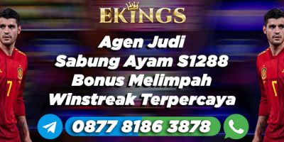 Agen Judi Sabung Ayam S1288 Bonus Melimpah - Ekings