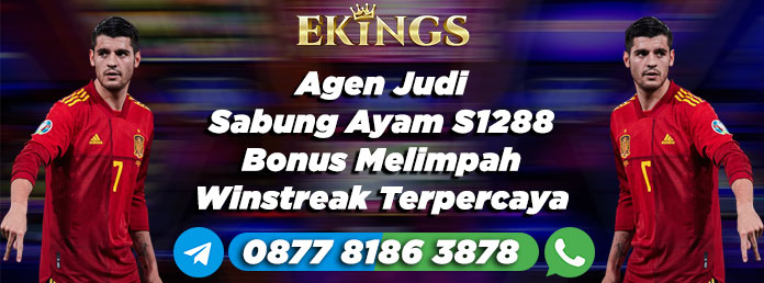 Agen Judi Sabung Ayam S1288 Bonus Melimpah - Ekings